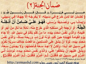 فضيلة الشيخ / أيمن خميس حماد ( قاضي شرعي – محاضر جامعي – داعية إسلامي )